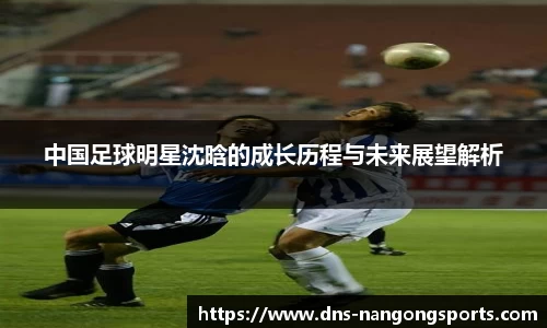NG体育